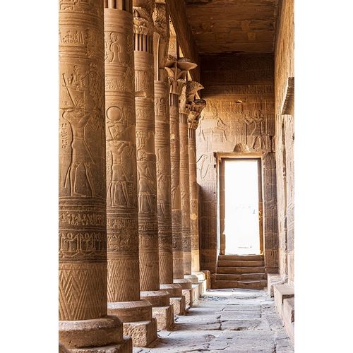 Africa-Egypt-Aswan Philae Temple on Agilkia Island in the Nile River